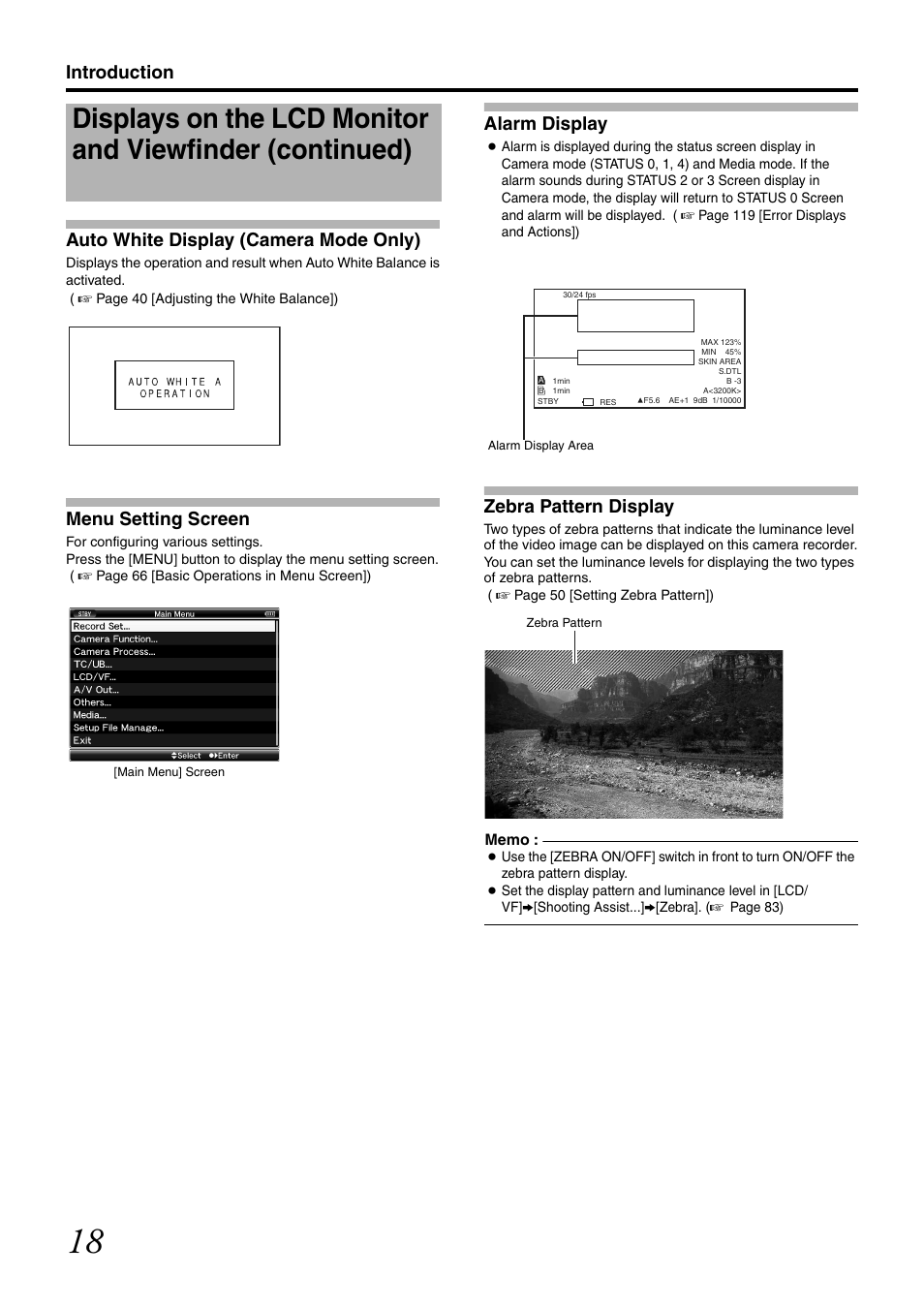 Auto white display (camera mode only), Menu setting screen, Alarm display | Zebra pattern display, Introduction auto white display (camera mode only) | JVC GY-HM700U User Manual | Page 22 / 128