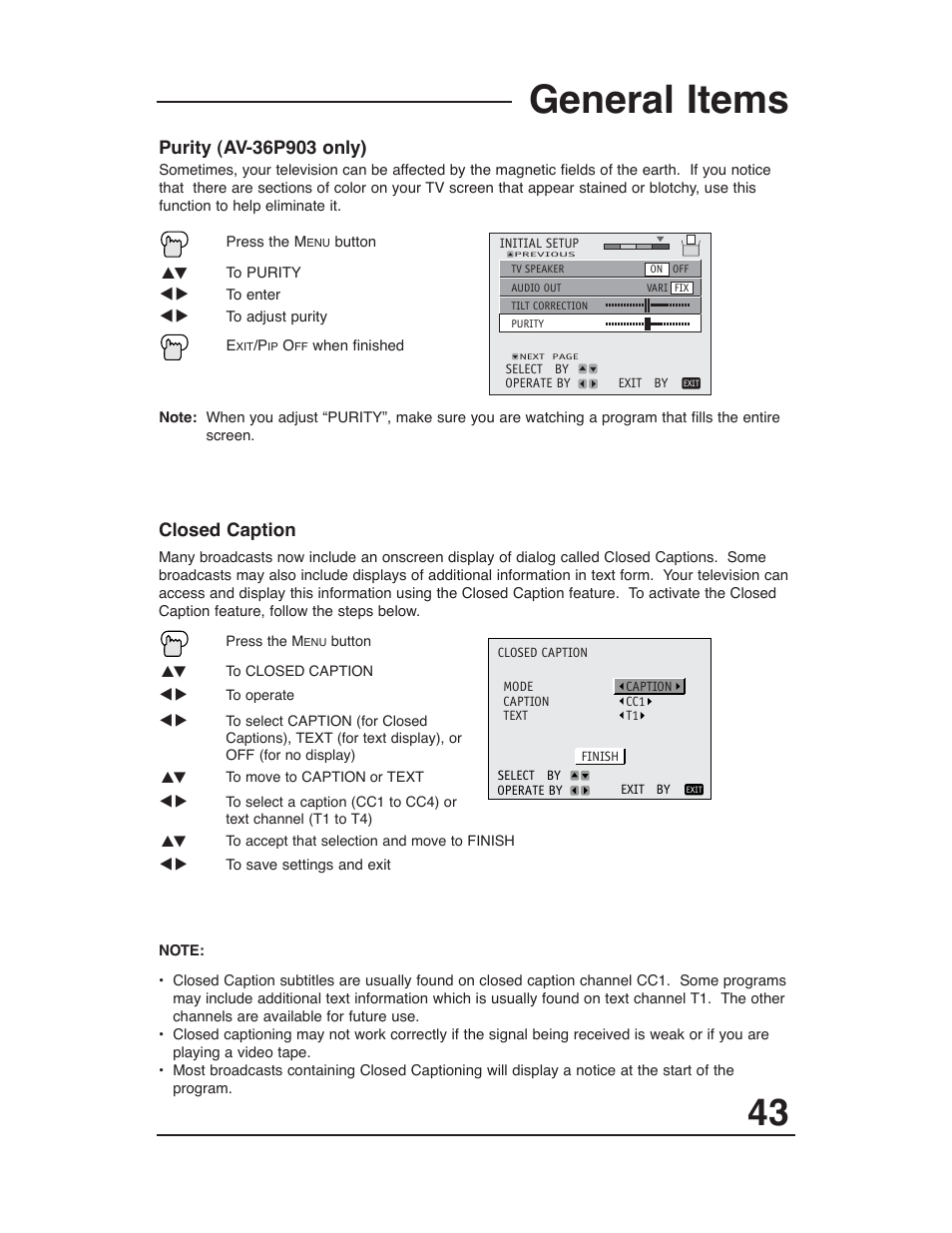Purity, Closed caption, General items | JVC AV 36P903 User Manual | Page 43 / 60