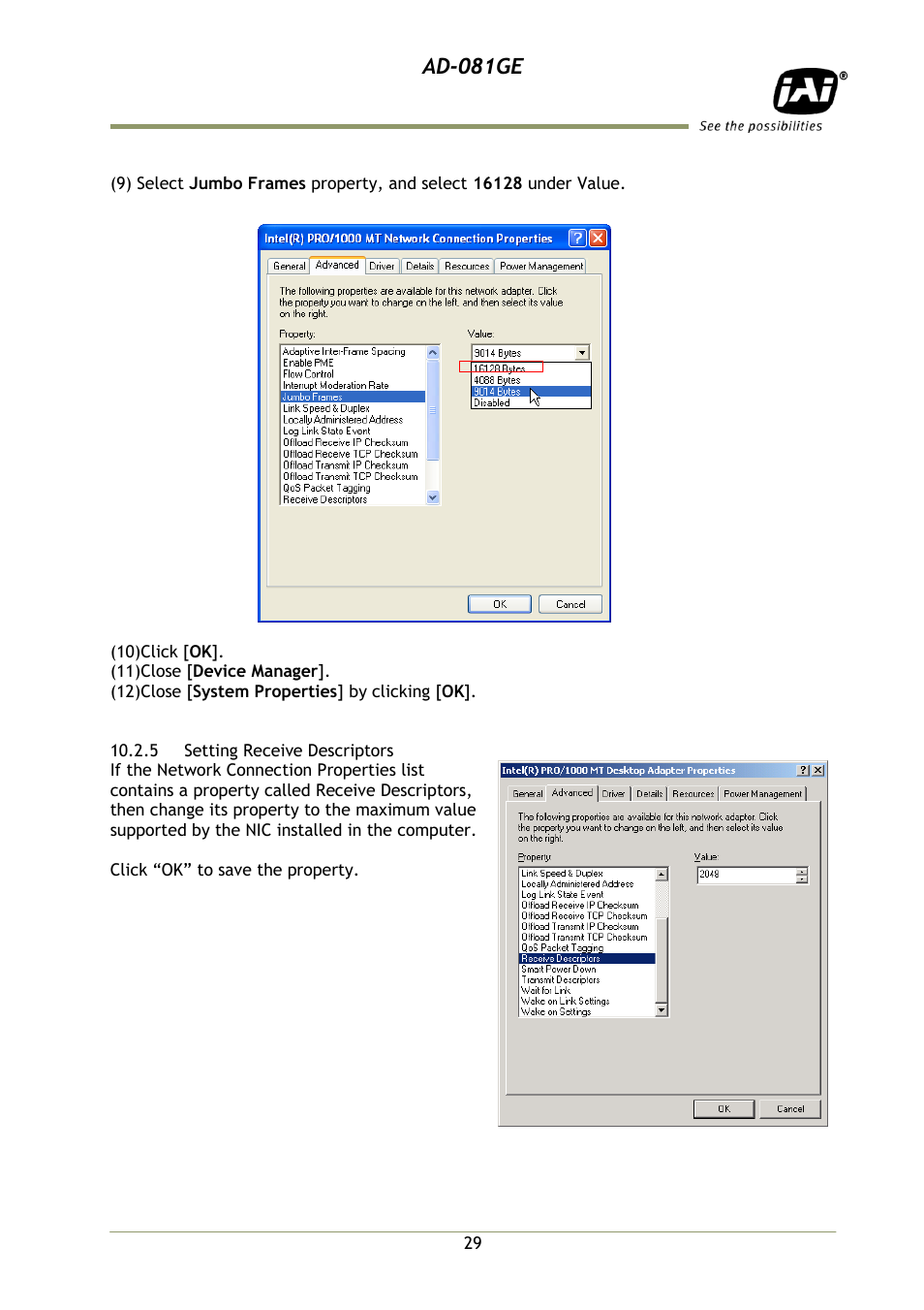 5 setting receive descriptors, Ad-081ge | JAI AD-081GE User Manual | Page 30 / 82