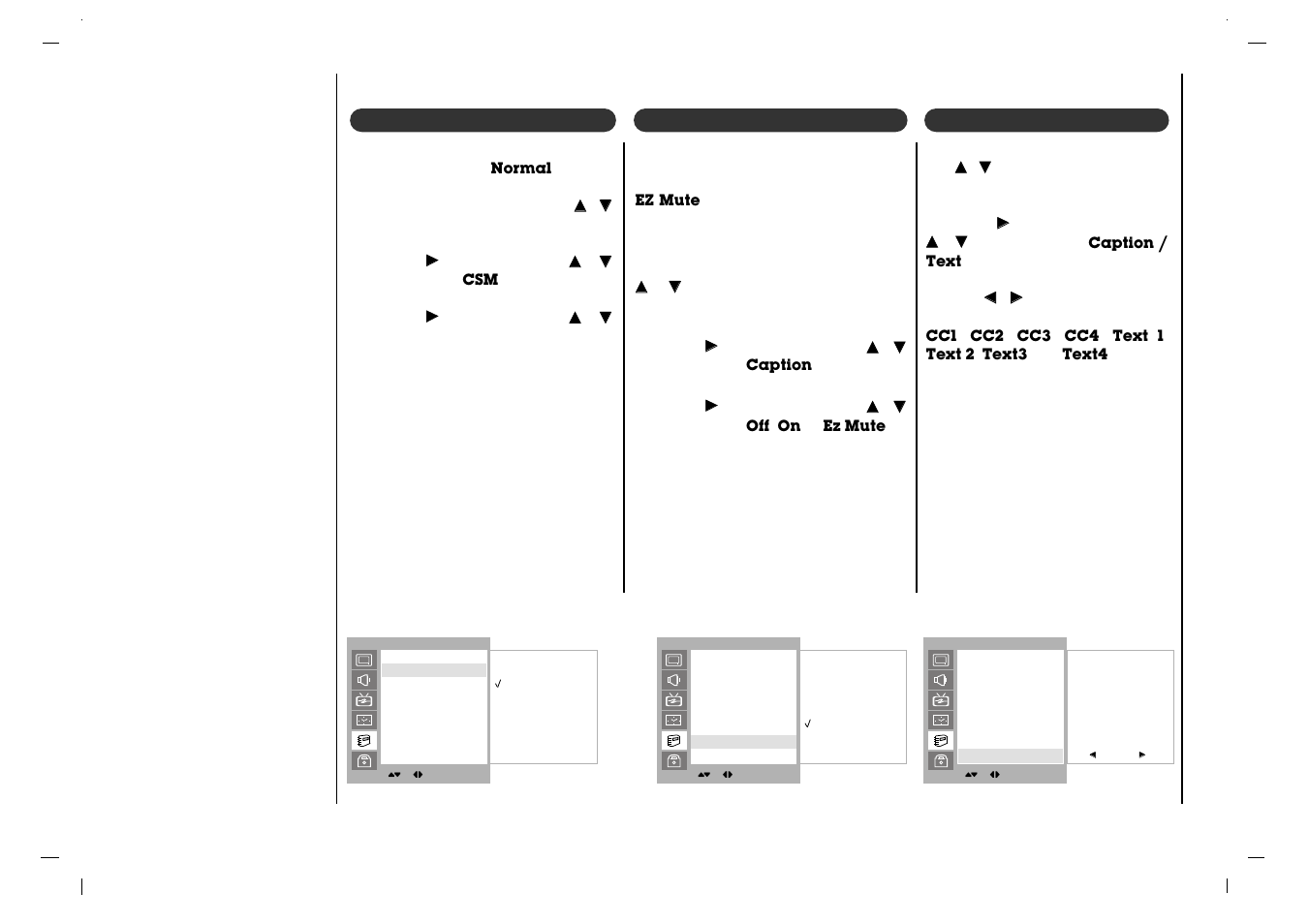 Special menu, Caption, Caption/text | Jwin JV-DTV37 User Manual | Page 26 / 132