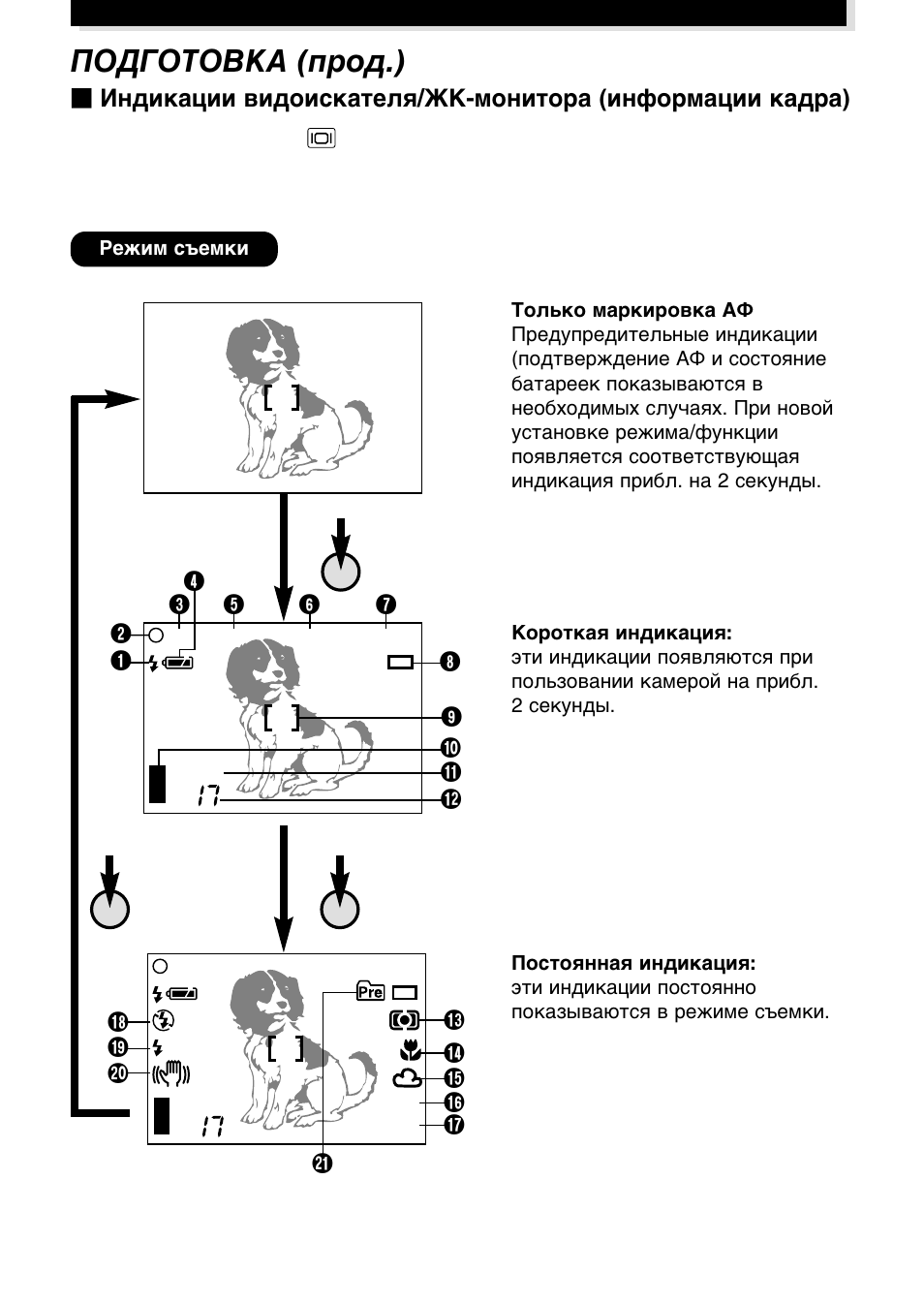 Olympus E-100RS User Manual | Page 12 / 44