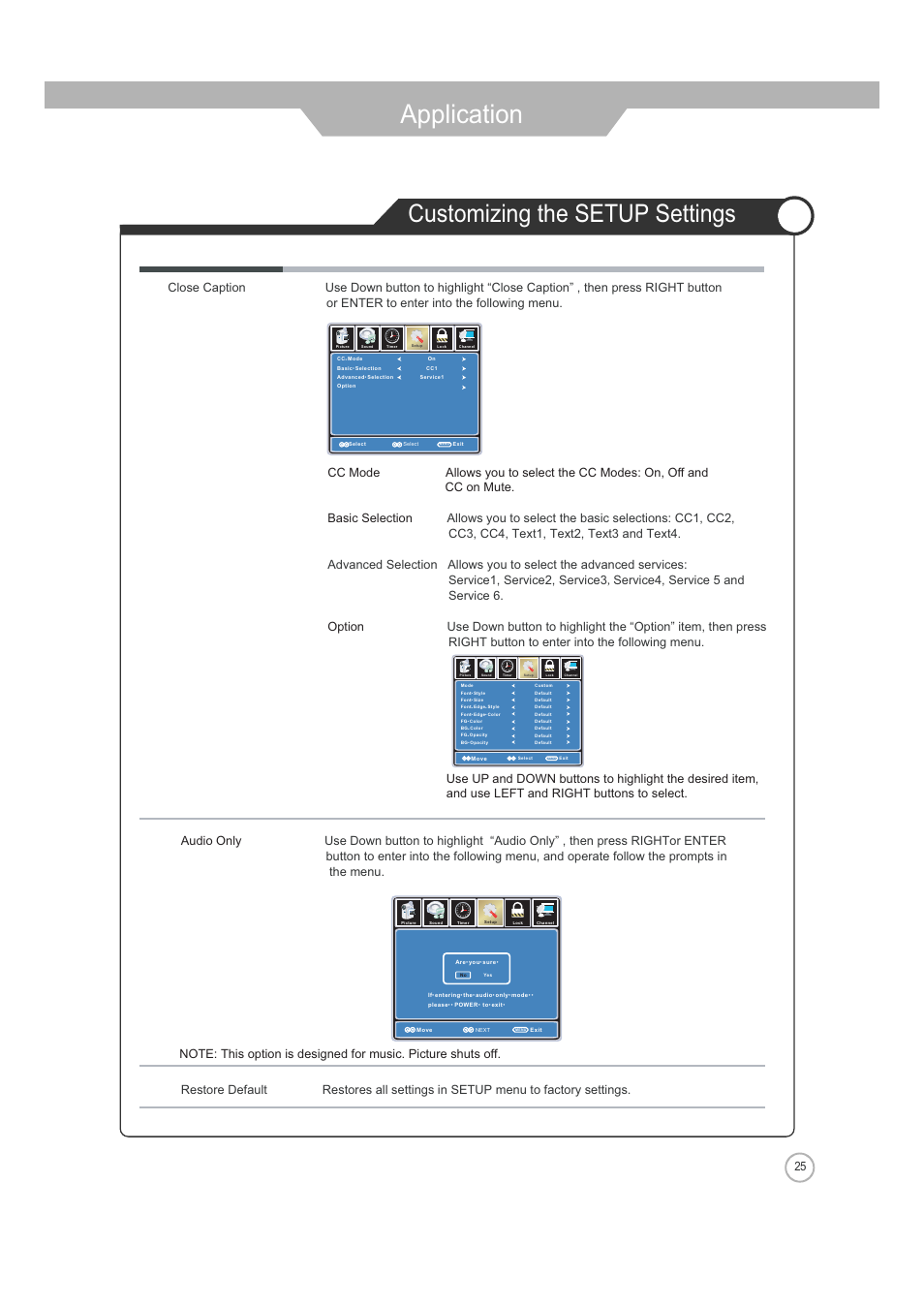 Application, Customizing the setup settings | Jensen JE2608WV User Manual | Page 25 / 35