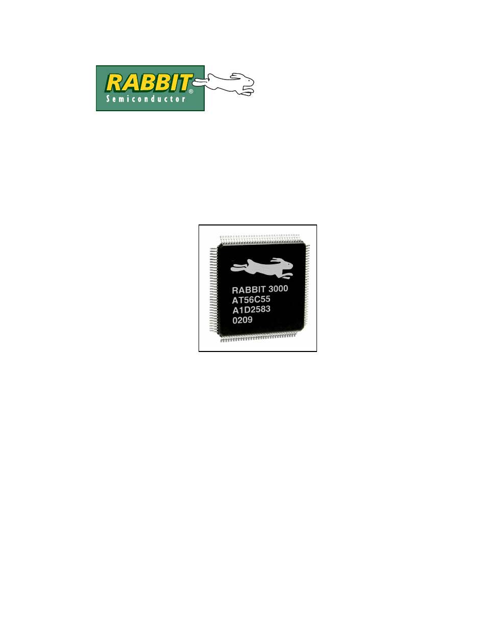 Rabbit 3000® microprocessor user's manual, Rabbit 3000, Microprocessor | Jameco Electronics Rabbit 3000 User Manual | Page 2 / 349