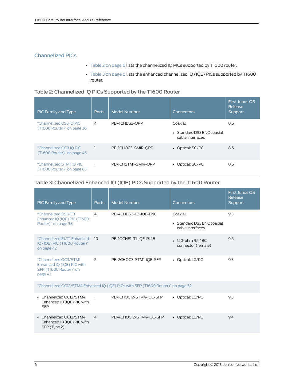 Channelized pics | Juniper Networks T1600 User Manual | Page 6 / 151
