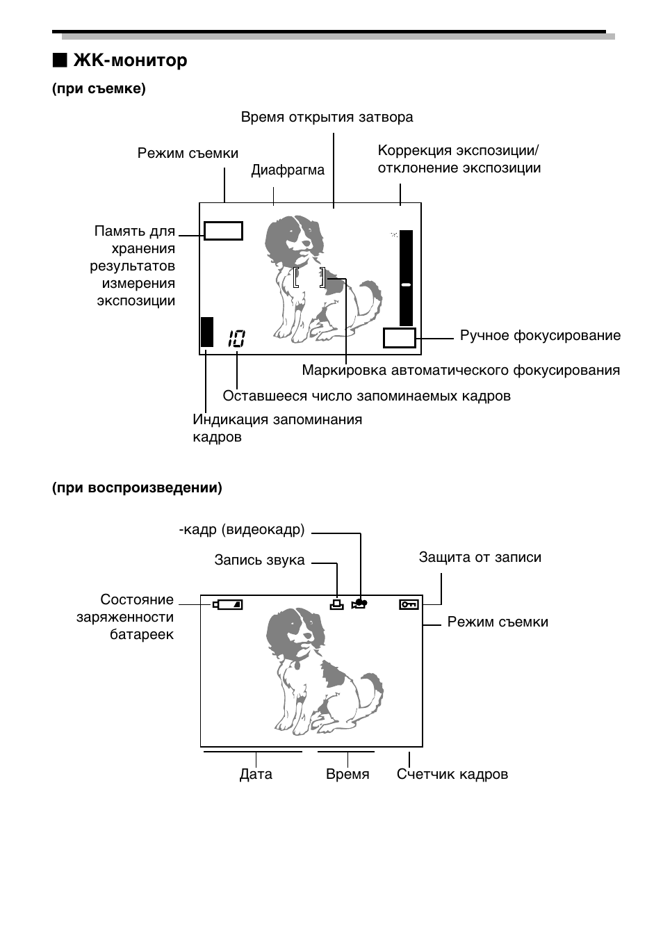 Olympus C-2040 Zoom User Manual | Page 9 / 40