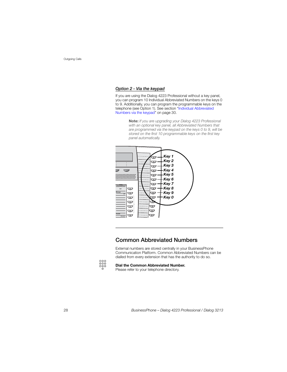 Option 2 - via the keypad, Common abbreviated numbers | Sony Ericsson Dialog 4223 User Manual | Page 28 / 132