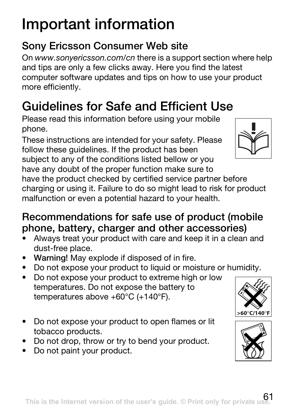 Important information, Sony ericsson consumer web site, Guidelines for safe and efficient use | Sony Ericsson J110c User Manual | Page 62 / 80