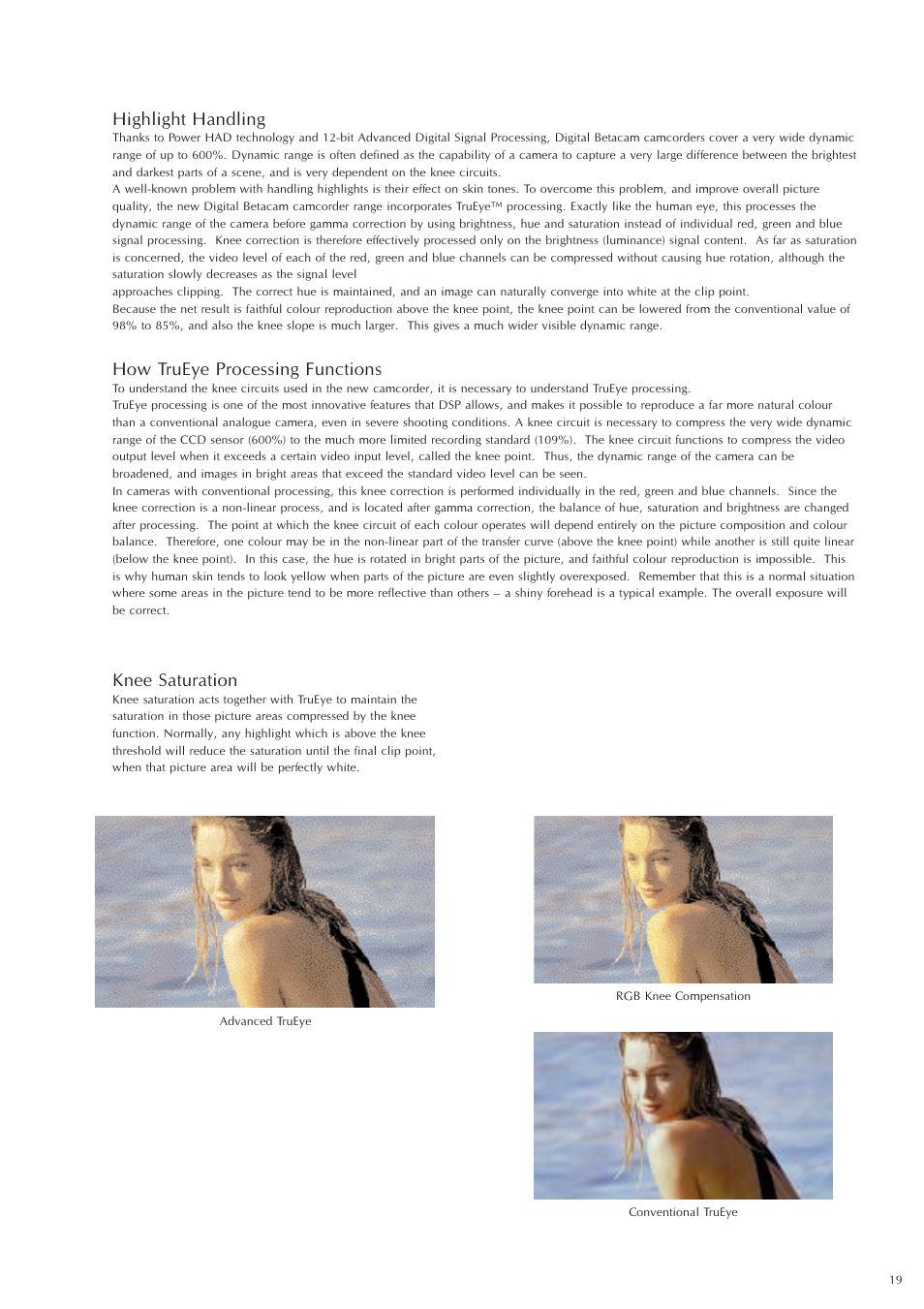 How trueye processing functions, Knee saturation, Highlight handling | Sony Ericsson DVW-707P User Manual | Page 19 / 32