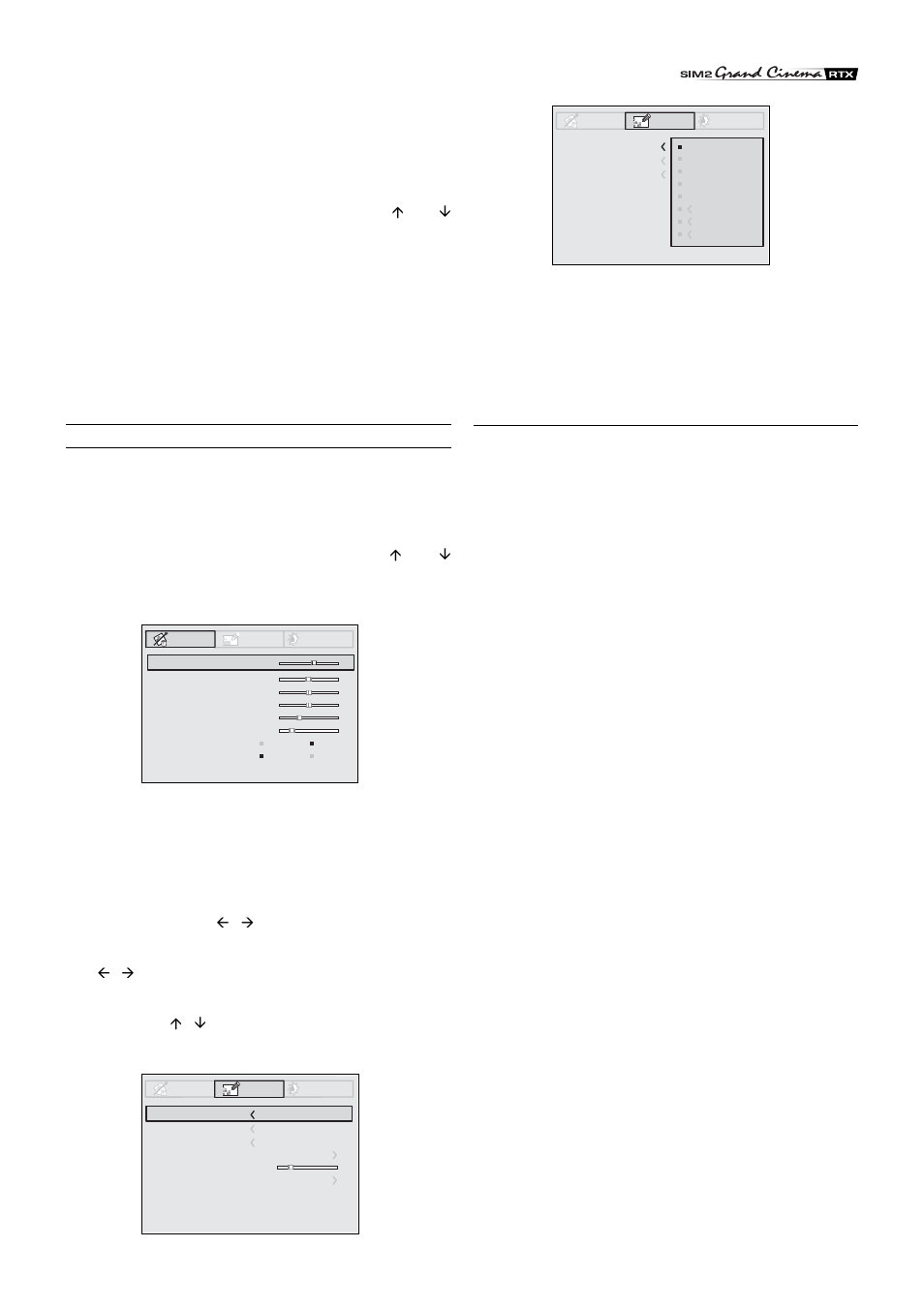 Picture | Sim2 Multimedia Grand Cinema Line RTX55 User Manual | Page 13 / 21