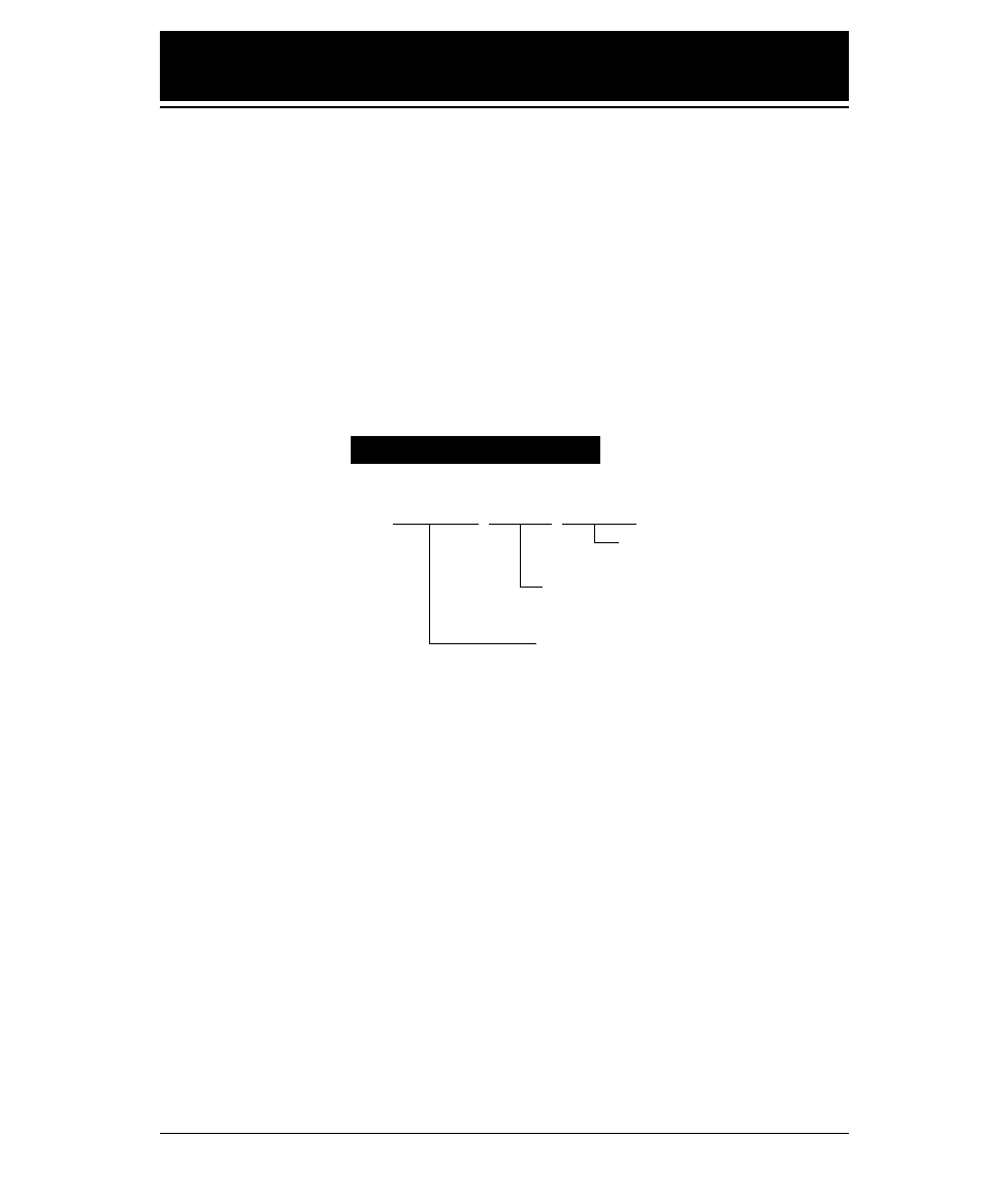 Software setup functions, Command format | Seiko FB-900 User Manual | Page 201 / 243
