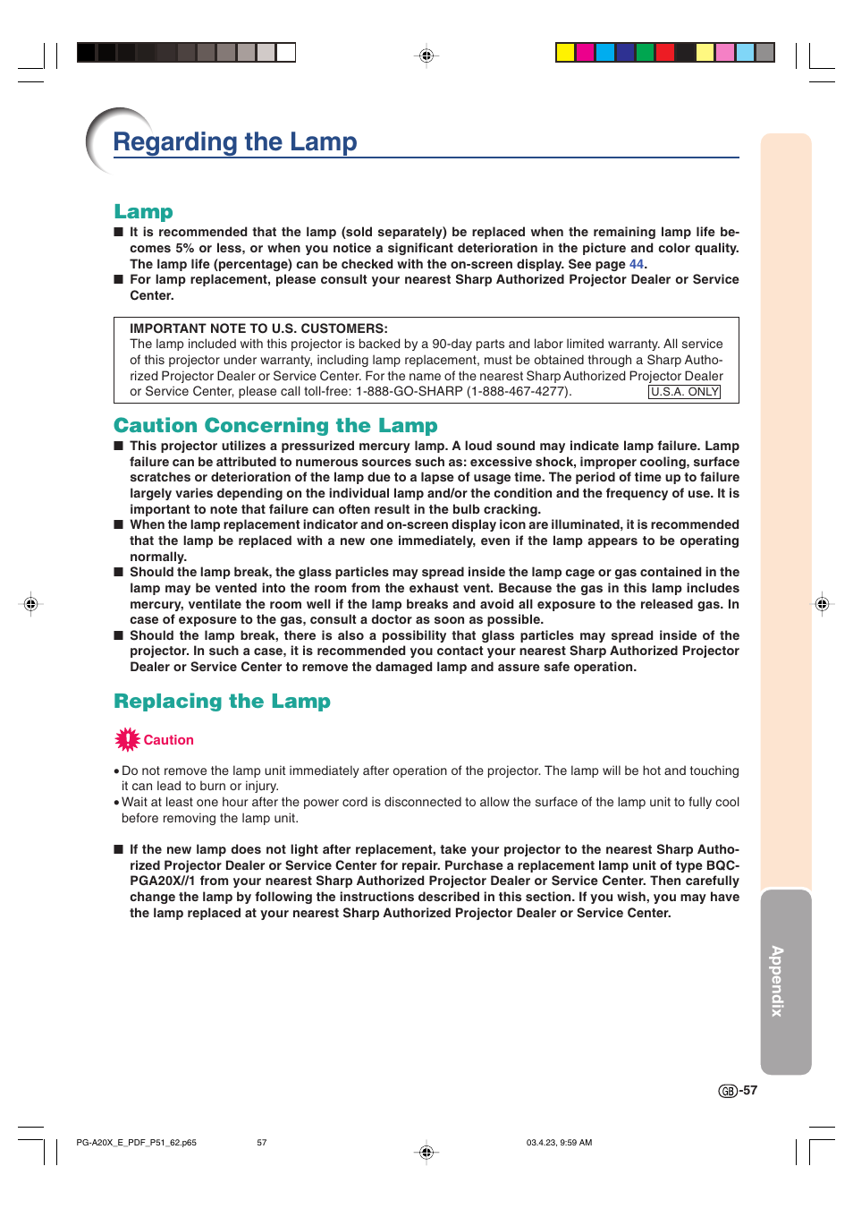 Regarding the lamp, Lamp, Caution concerning the lamp | Replacing the lamp | Sharp PG-A20X User Manual | Page 61 / 74