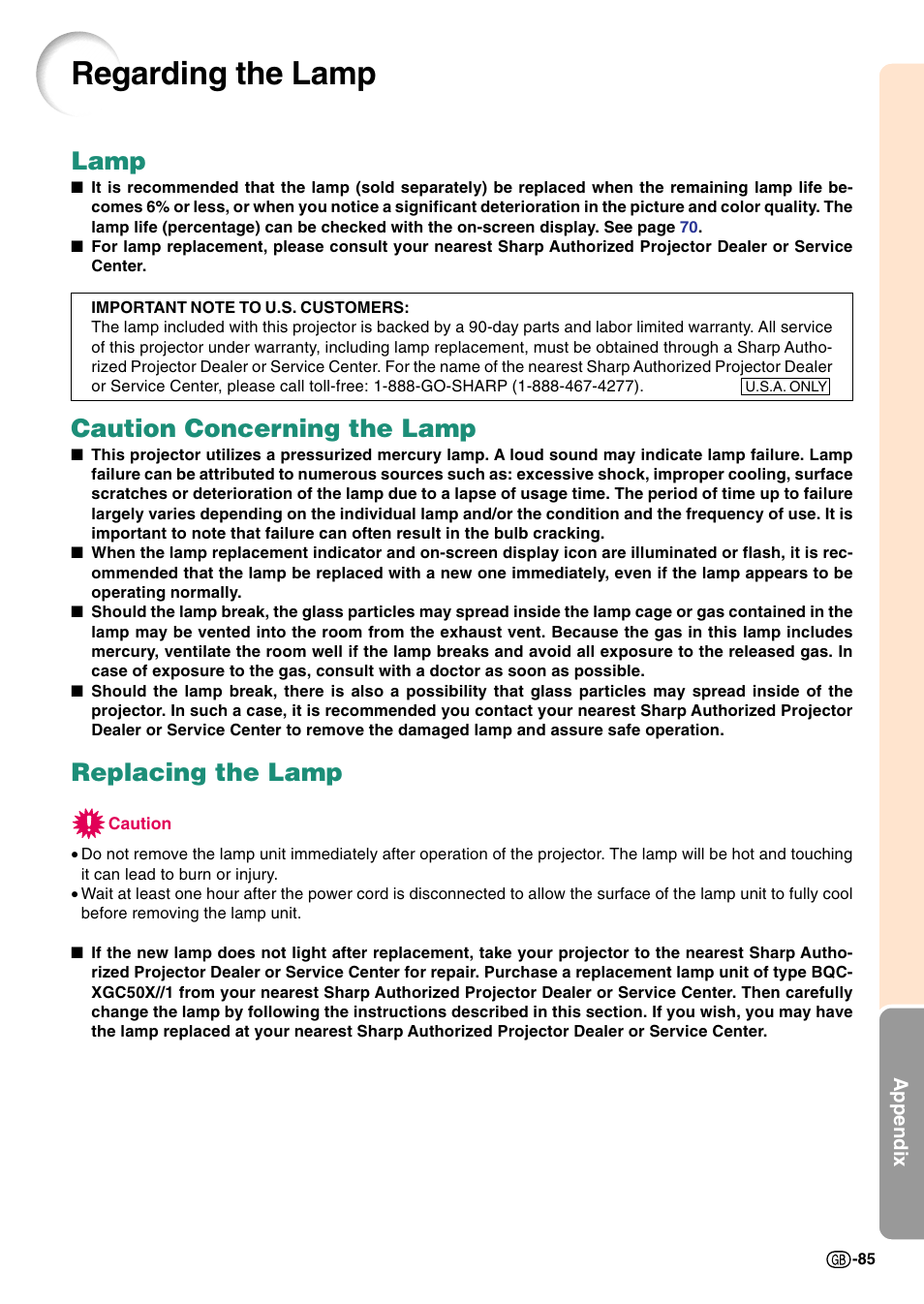 Regarding the lamp, Lamp, Caution concerning the lamp | Replacing the lamp | Sharp Notevision PG-C45S User Manual | Page 89 / 106