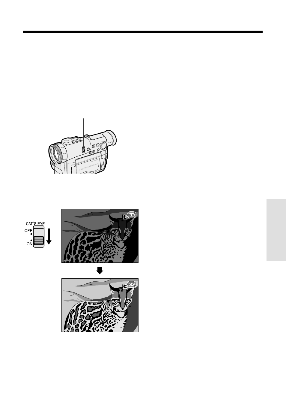 Night recording (cat’s eye) | Sharp VL-WD250U User Manual | Page 45 / 92