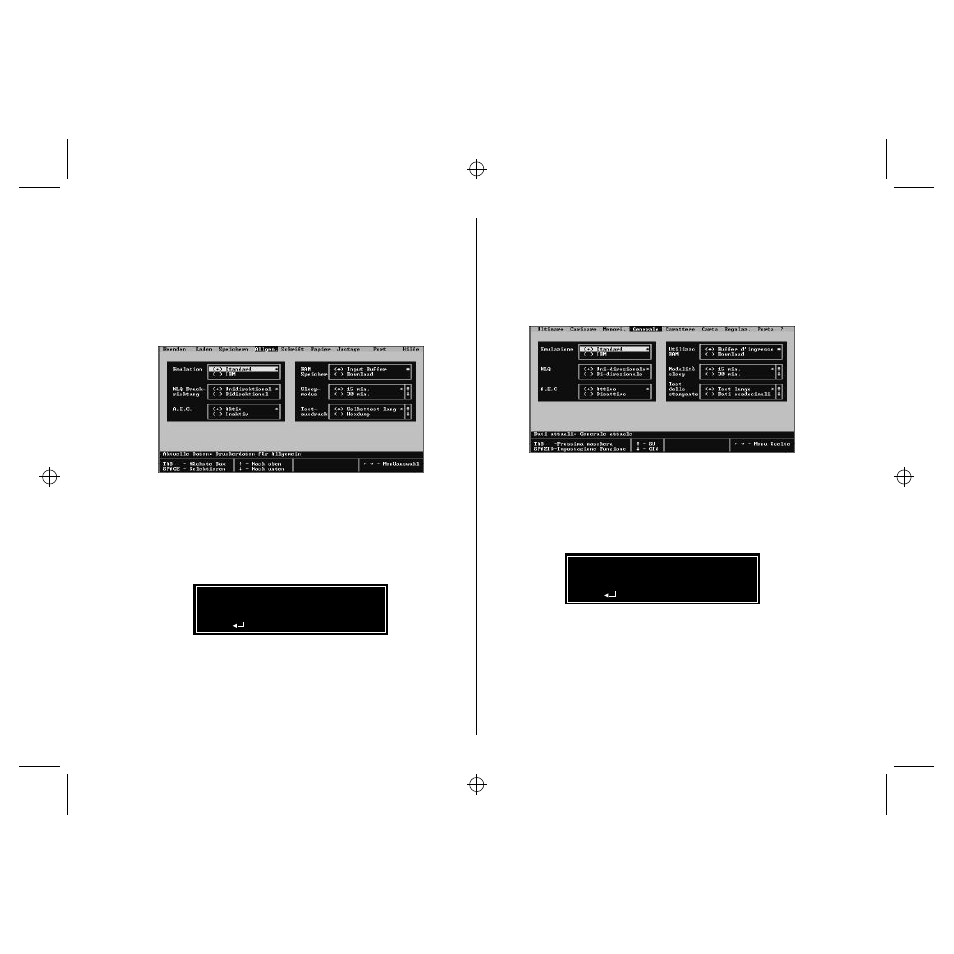 Starten des drucker setup programms, Avviamento del programma user setup utility, Chapter2.frame black #6 | Star Micronics LC-90 User Manual | Page 35 / 131