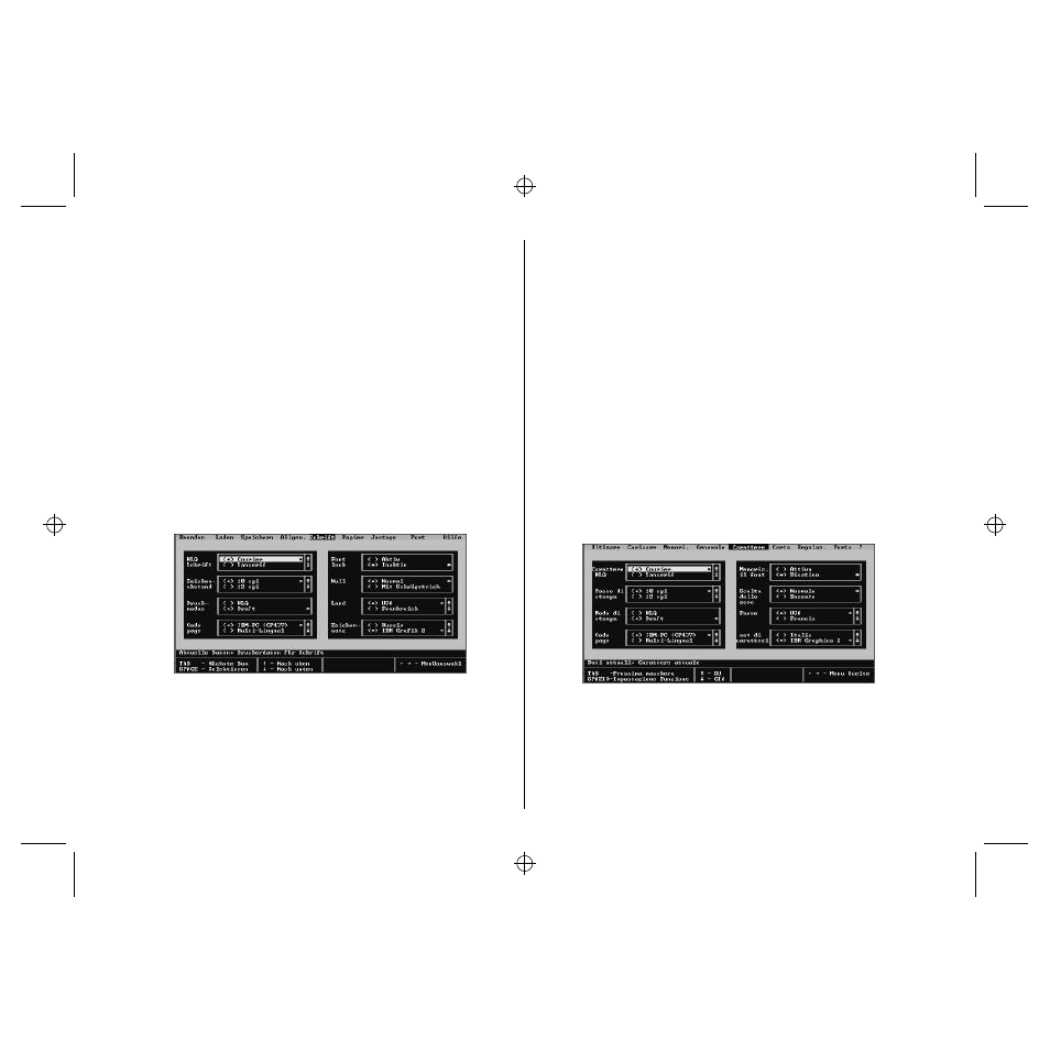 Benutzung des fensters schrift | Star Micronics LC-90 User Manual | Page 43 / 131