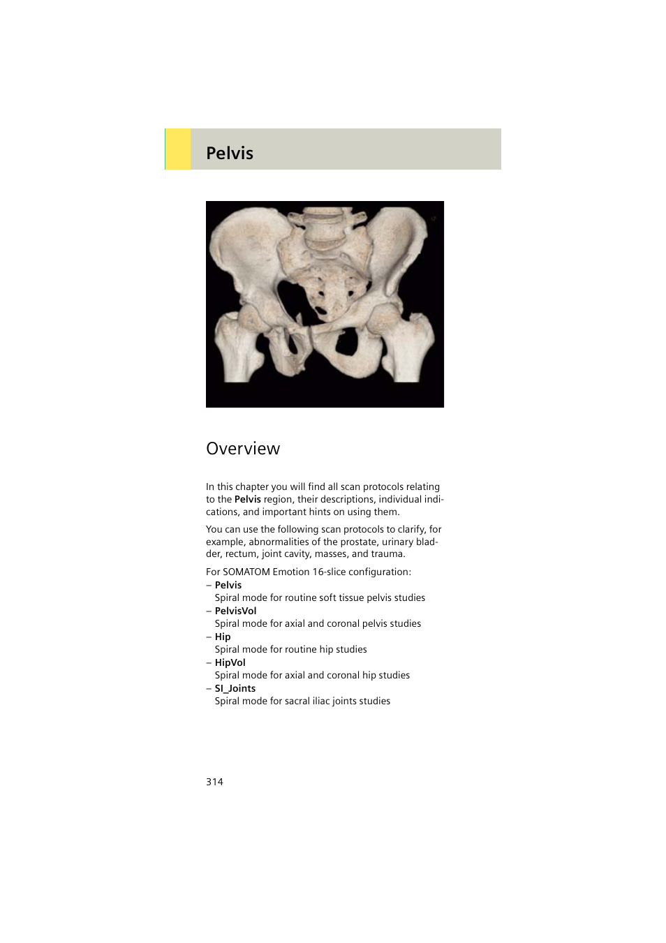 Pelvis, Overview | Siemens EMOTION 16-Jun User Manual | Page 314 / 590