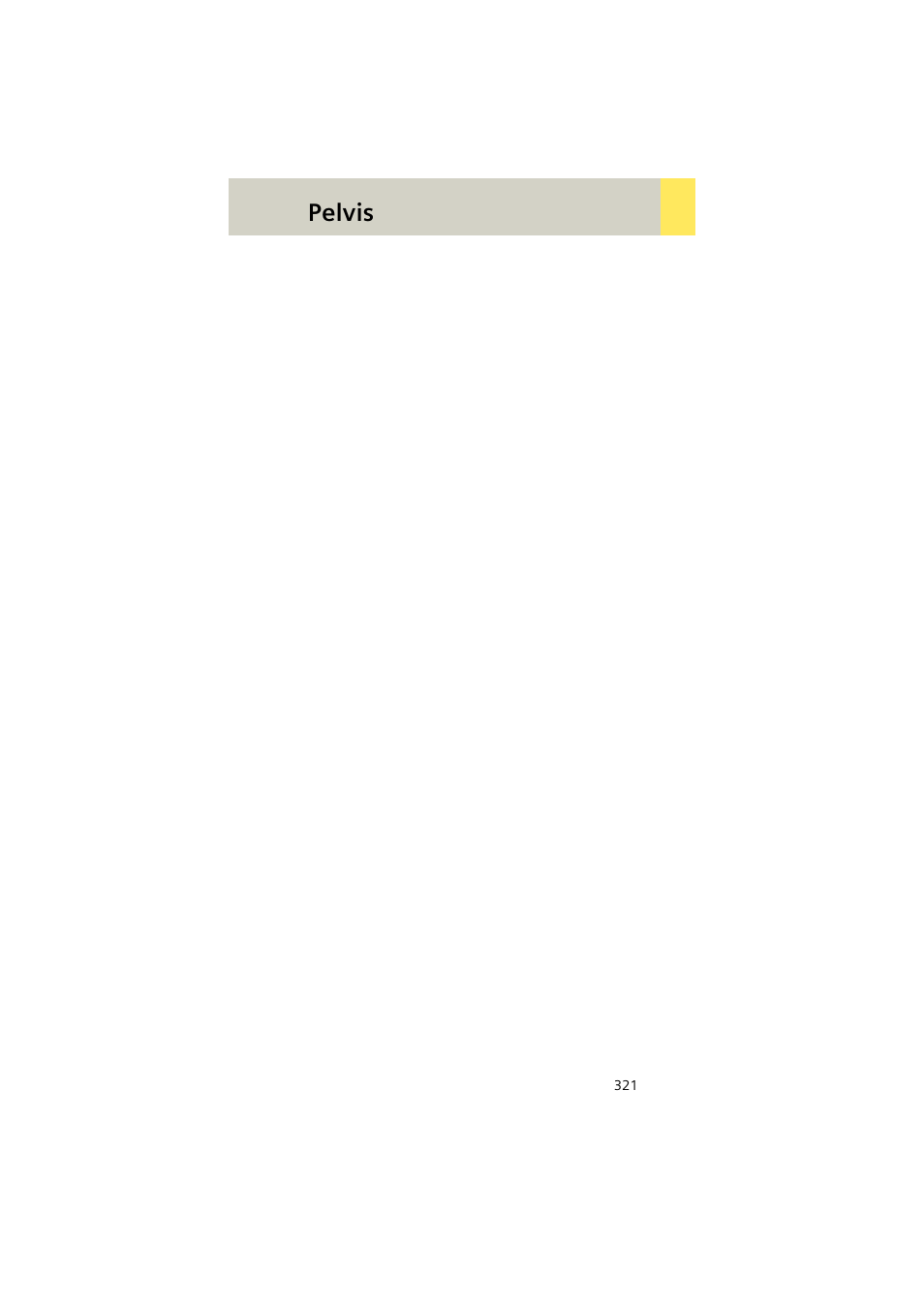 Pelvis | Siemens EMOTION 16-Jun User Manual | Page 321 / 590