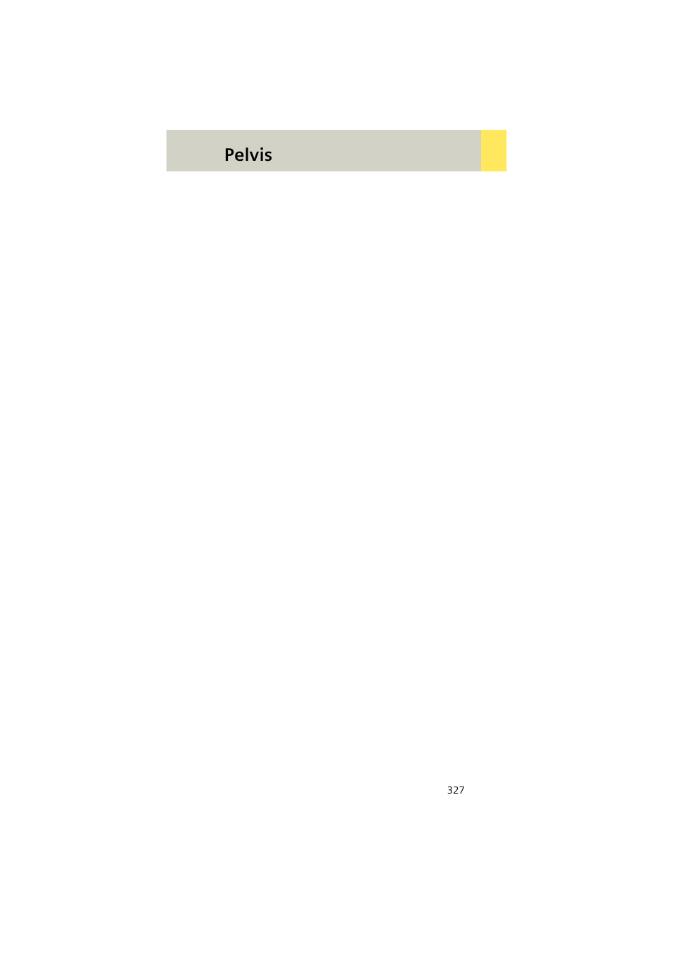 Pelvis | Siemens EMOTION 16-Jun User Manual | Page 327 / 590