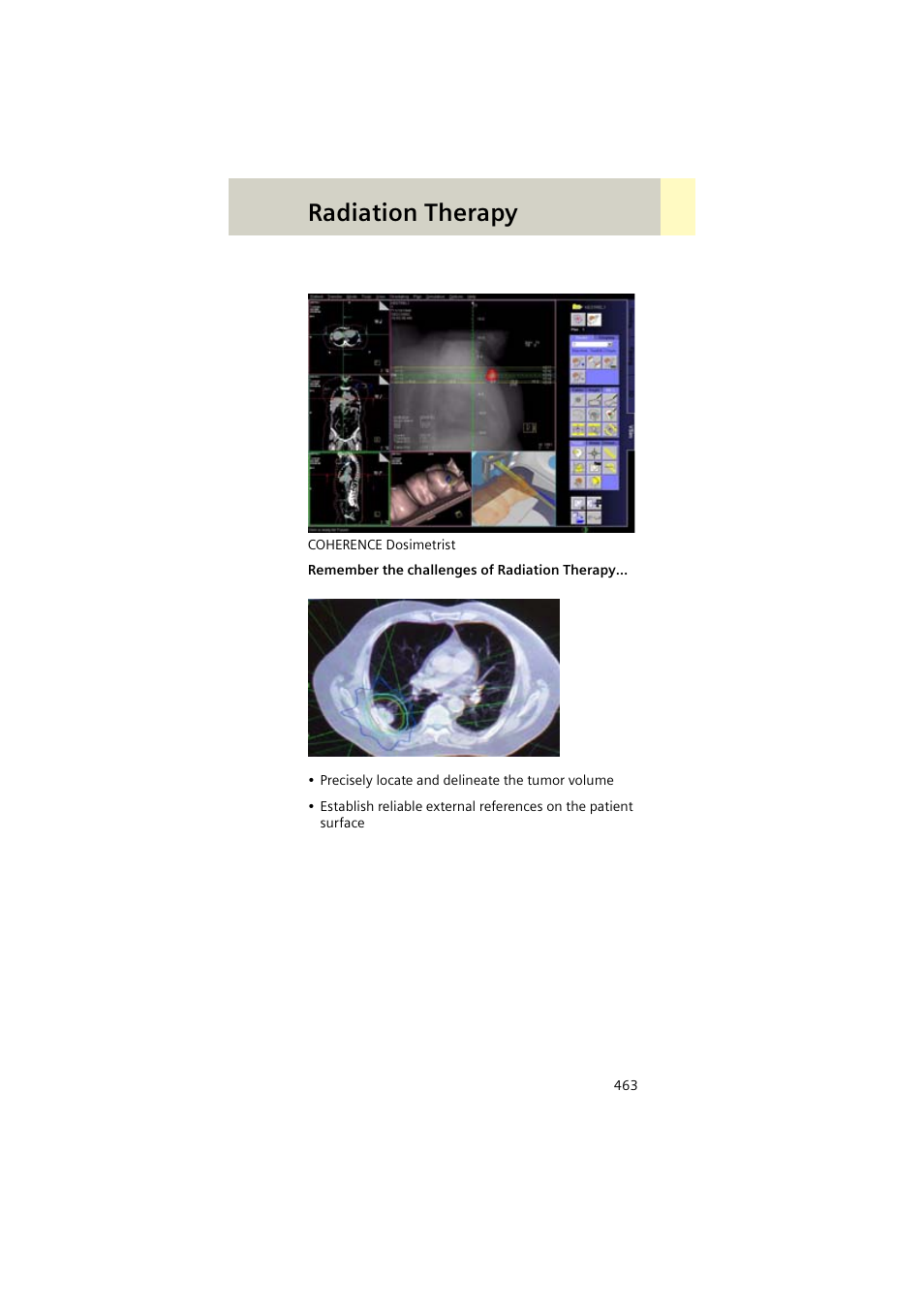 Radiation therapy | Siemens EMOTION 16-Jun User Manual | Page 463 / 590