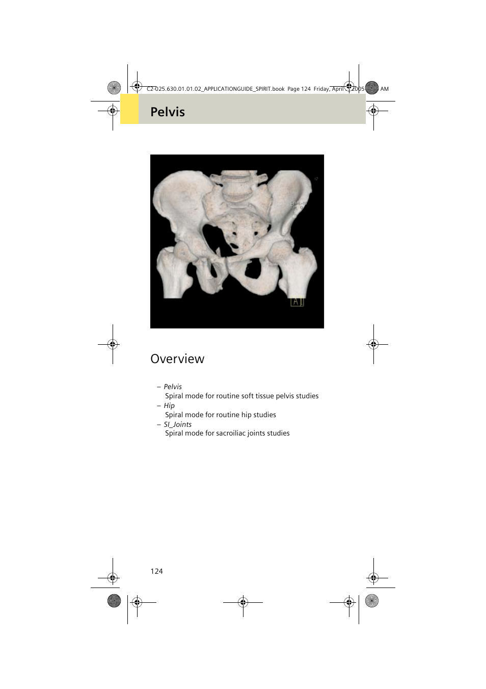 Pelvis, Overview, Pelvis overview | Siemens syngo CT 2005C User Manual | Page 124 / 321