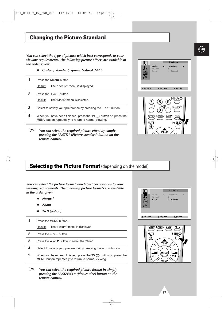 Changing the picture standard, Selecting the picture format, Depending on the model) | Samsung 21K10 User Manual | Page 17 / 32
