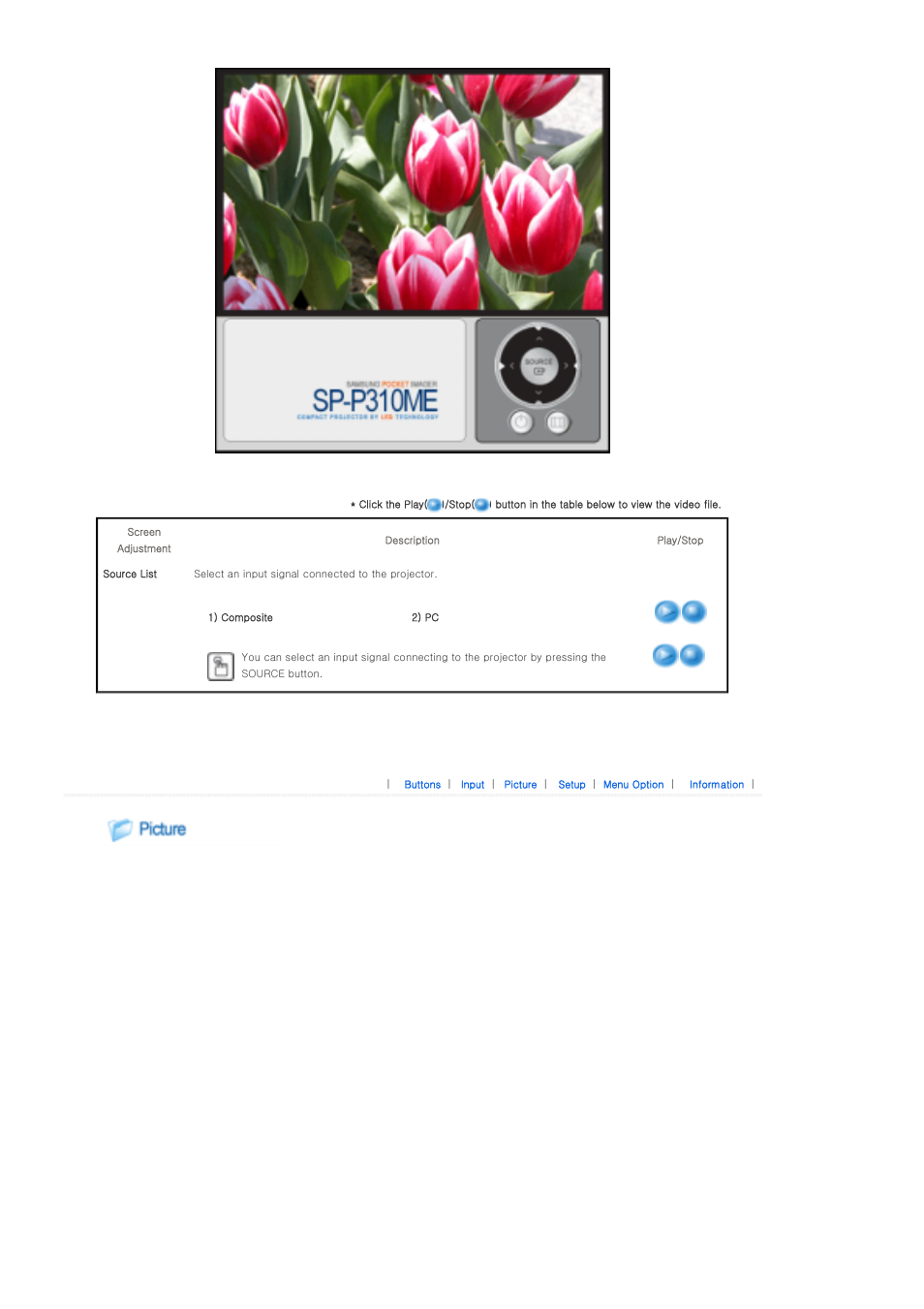 Picture, Setup | Samsung SP-P310ME User Manual | Page 22 / 32