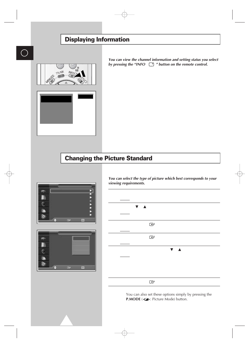 Displaying information, Using your display (continued), Changing the picture standard | Samsung 4240 User Manual | Page 26 / 68