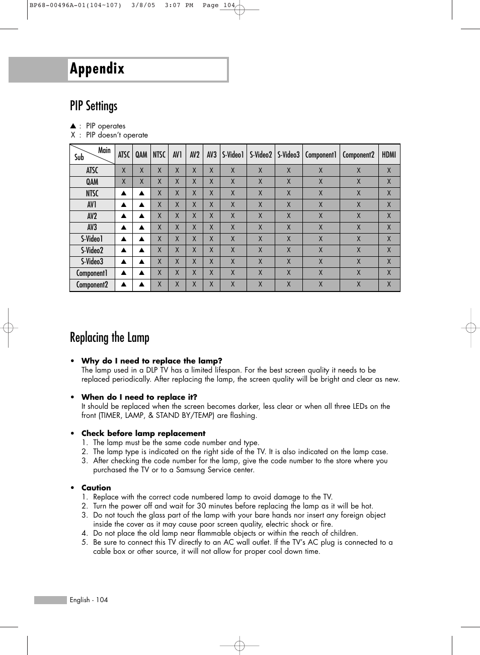 Pip settings, Replacing the lamp, Appendix | Samsung HL-R4266W User Manual | Page 104 / 108