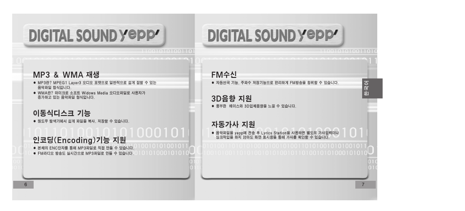 Samsung YEPP YP-T5V User Manual | Page 32 / 117