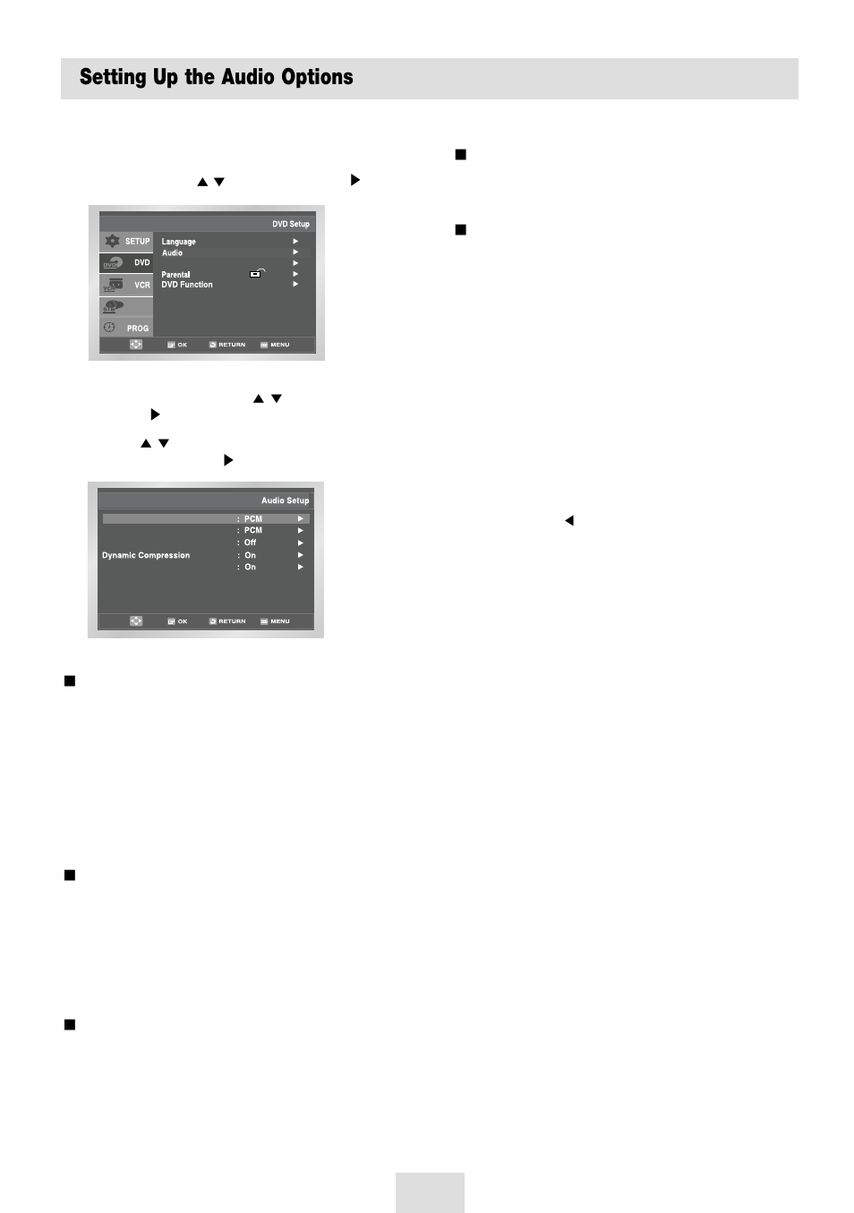 Setting up the audio options | Samsung SV-DVD54T User Manual | Page 31 / 53