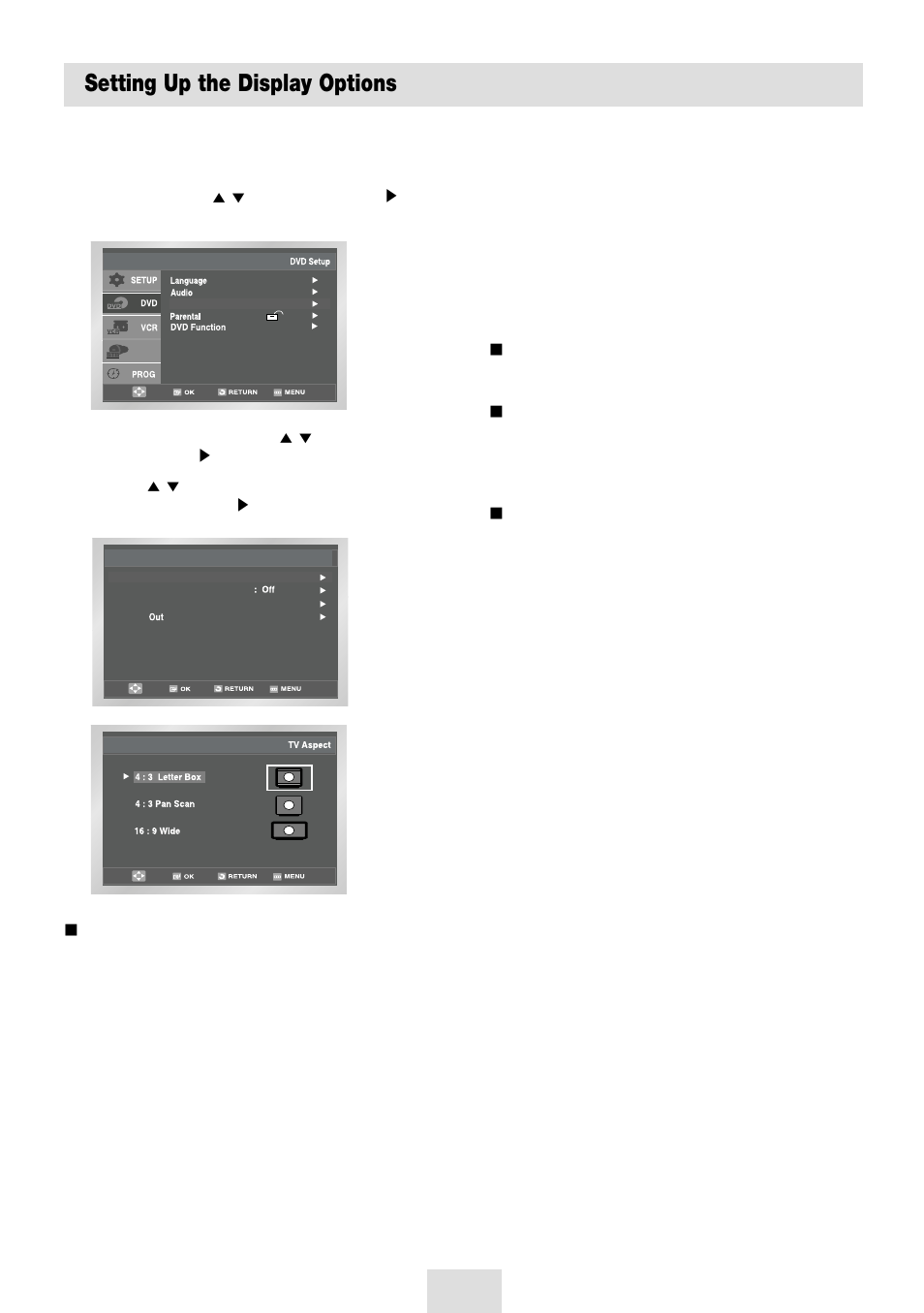 Setting up the display options | Samsung SV-DVD54T User Manual | Page 32 / 53