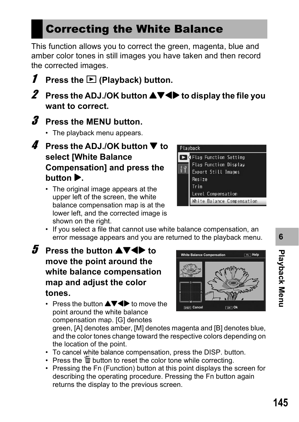 Correcting the white balance | Samsung CX1 User Manual | Page 147 / 239