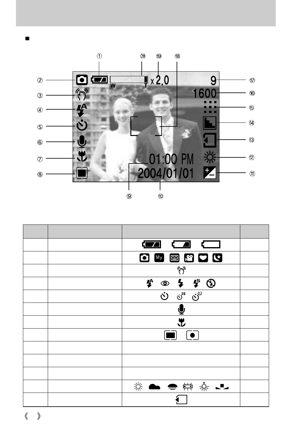 Lcd monitor indicator | Samsung Digimax 250 User Manual | Page 20 / 100