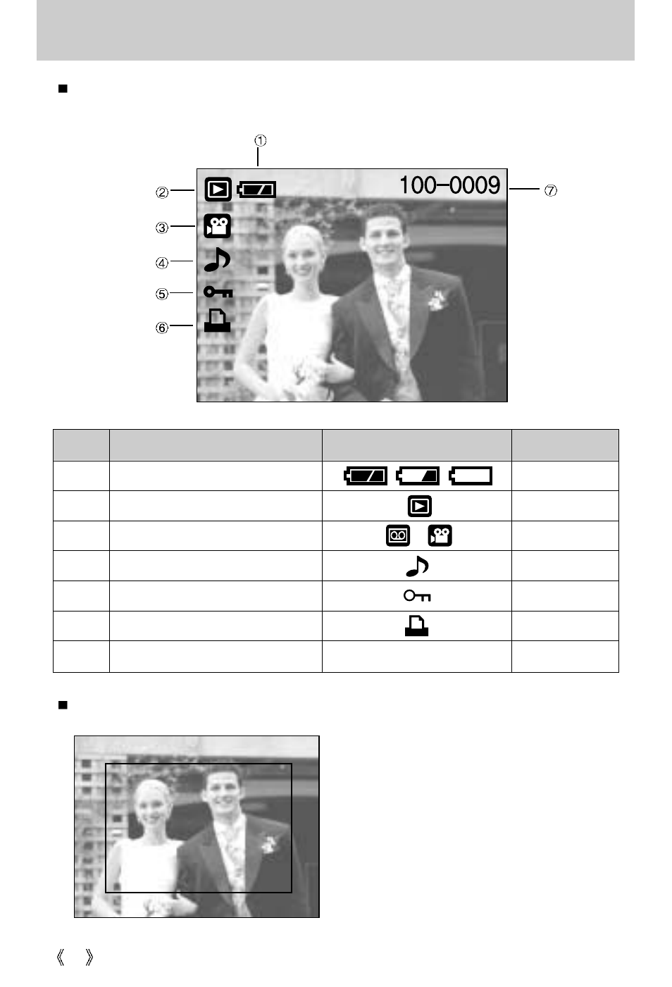 Lcd monitor indicator | Samsung Digimax 250 User Manual | Page 46 / 100