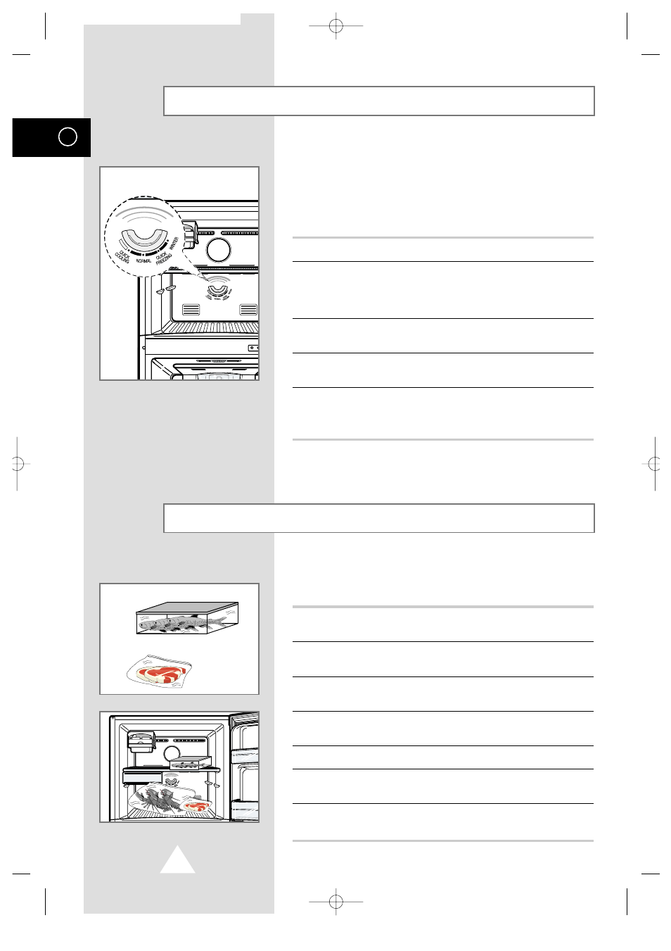 Controlling the freezer temperature, Freezing food | Samsung DA99-00478C User Manual | Page 10 / 16
