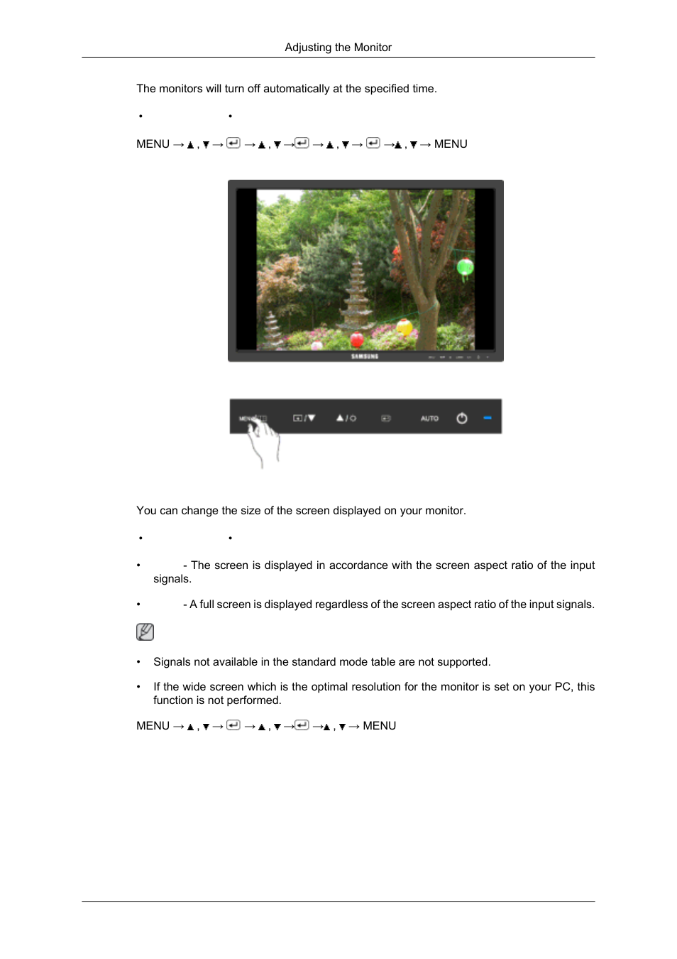 Image size | Samsung 2043SN User Manual | Page 101 / 202