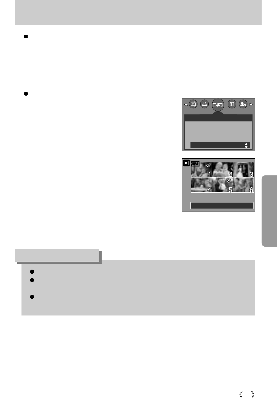 Copy picture, Information | Samsung Digimax 3100  EN User Manual | Page 61 / 104