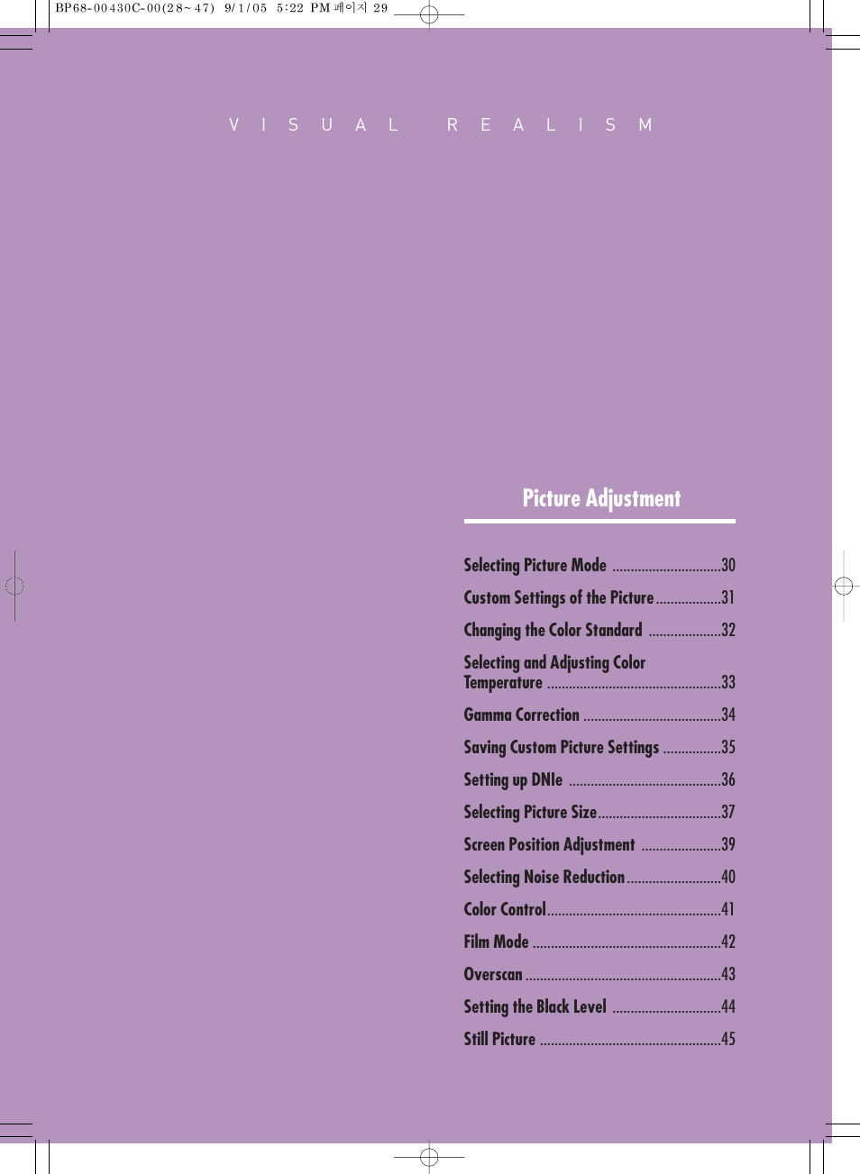 Picture adjustment | Samsung SP-H800 User Manual | Page 29 / 87