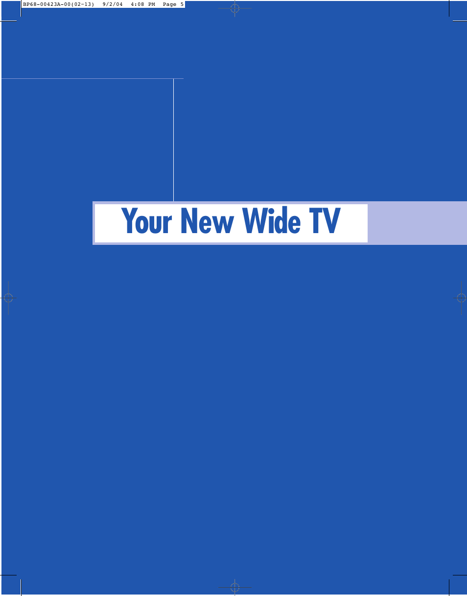 Your new wide tv | Samsung HL-P4674W User Manual | Page 5 / 96