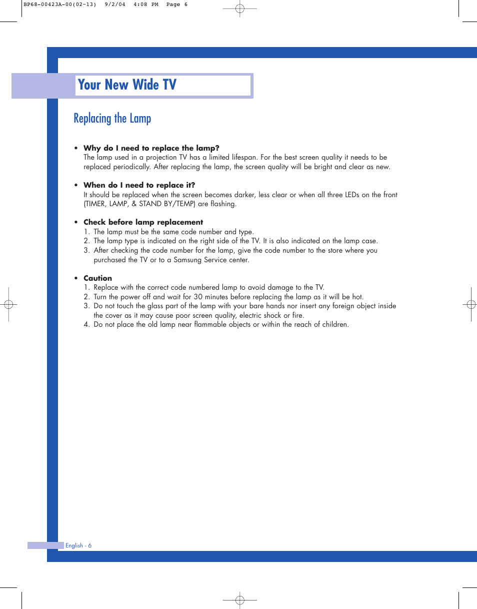 Replacing the lamp, Your new wide tv | Samsung HL-P4674W User Manual | Page 6 / 96