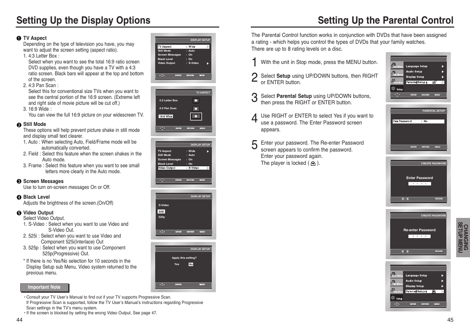 Setting up the parental control, Setting up the display options | Samsung DVD-P241 User Manual | Page 23 / 25