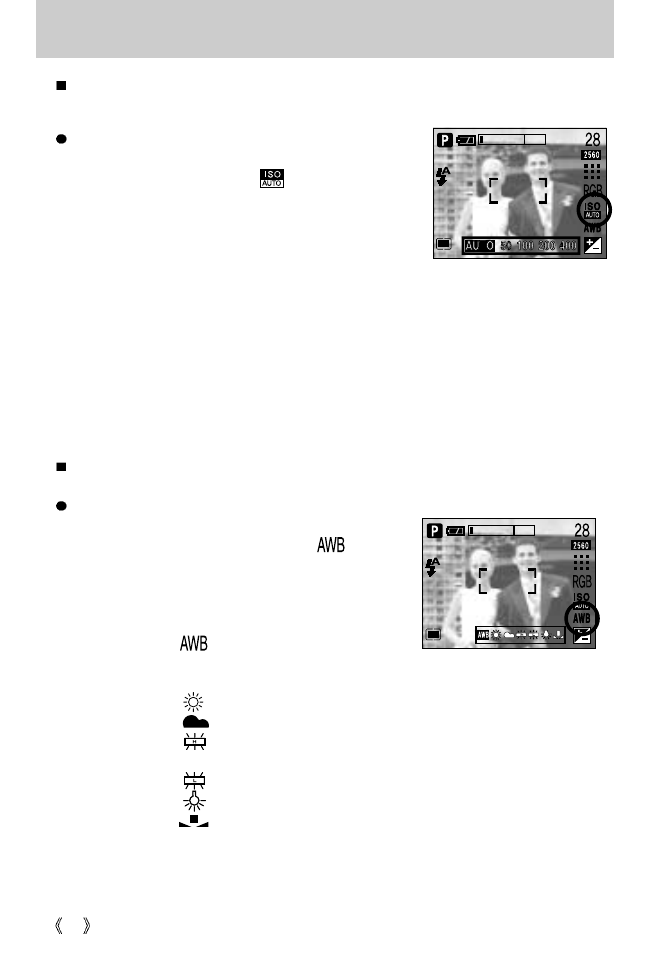 Button | Samsung Digimax V5000 User Manual | Page 42 / 120