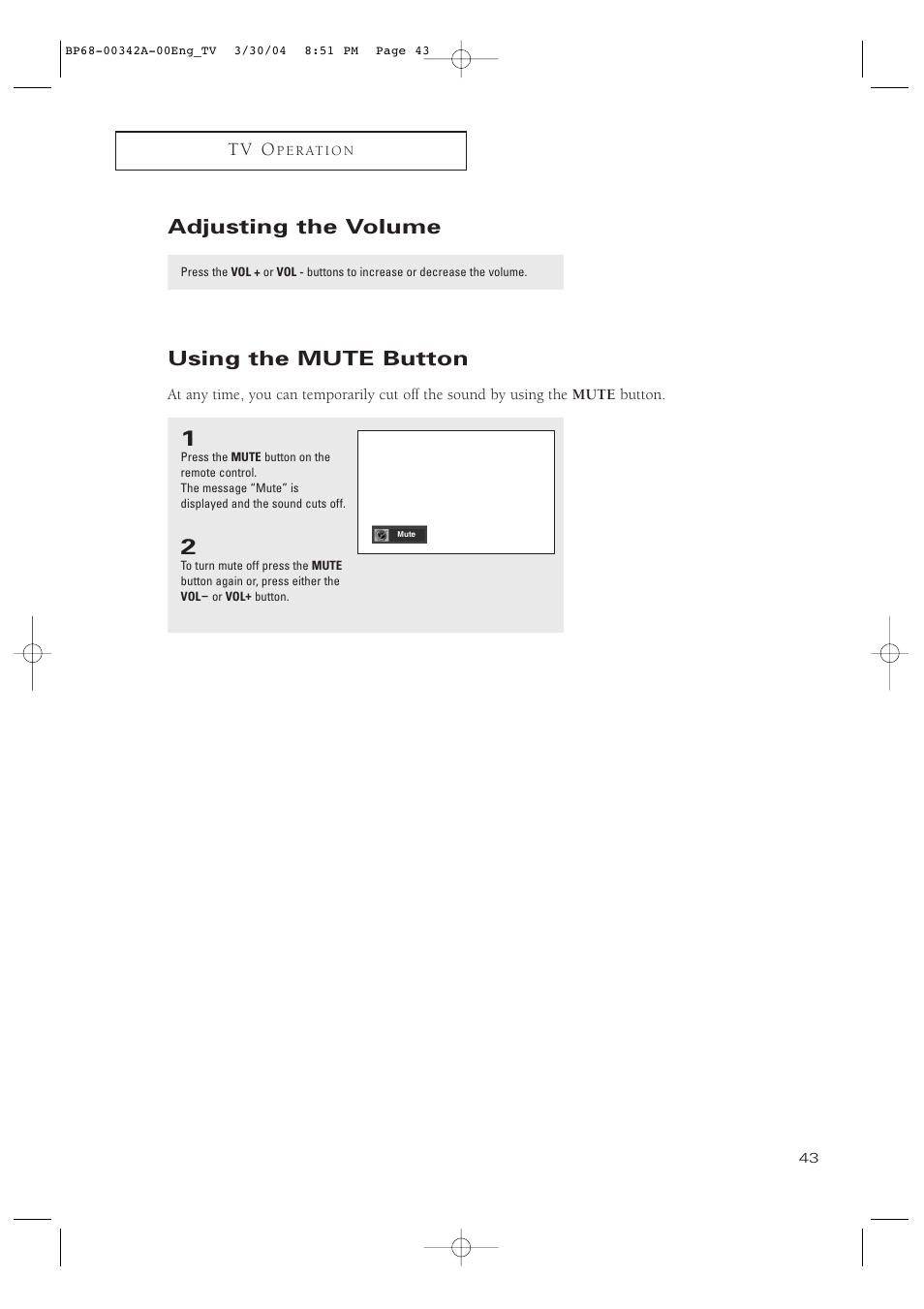 Adjusting the volume, Using the mute button | Samsung HC-P4363W User Manual | Page 43 / 92