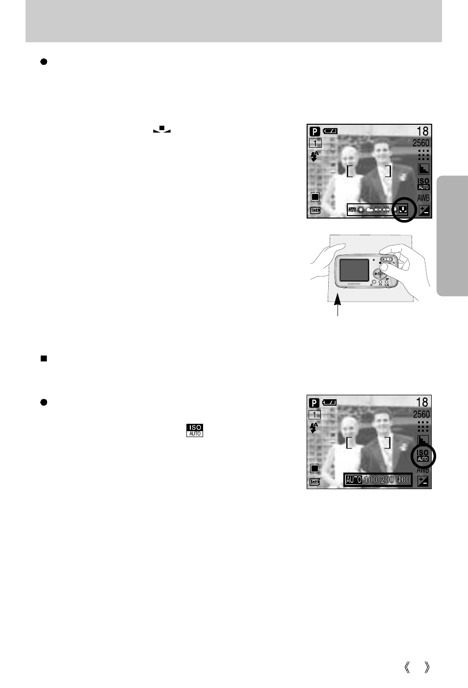 Button | Samsung digimax U-CA 501 User Manual | Page 31 / 116