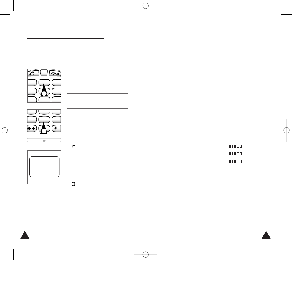 Resetting the phone’s features | Samsung Digimax 250 User Manual | Page 29 / 41