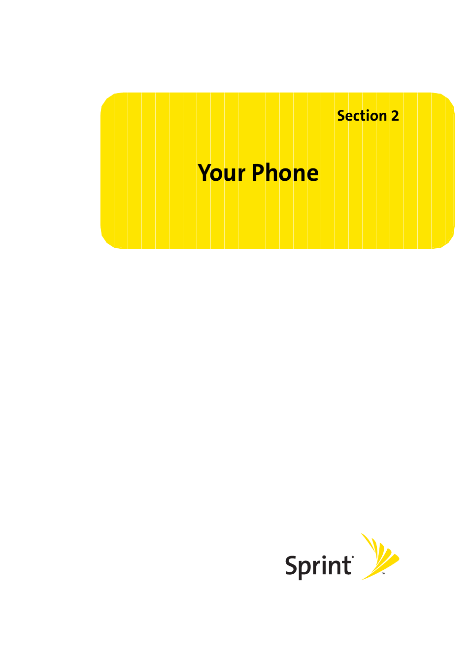 Your phone, Section 2: your phone | Samsung A420 User Manual | Page 27 / 164