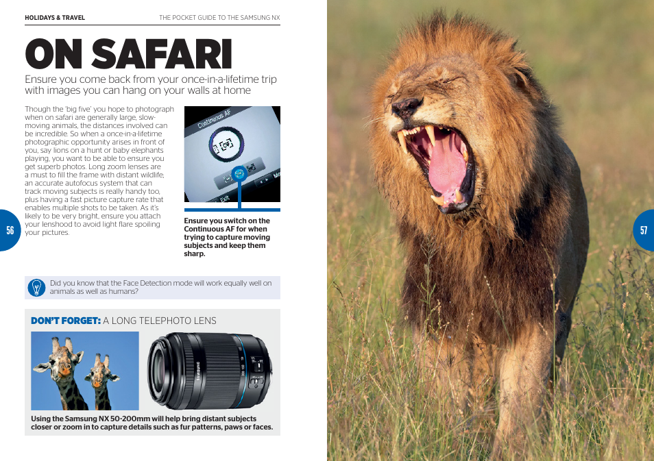 On safari | Samsung Digital Camera User Manual | Page 29 / 46