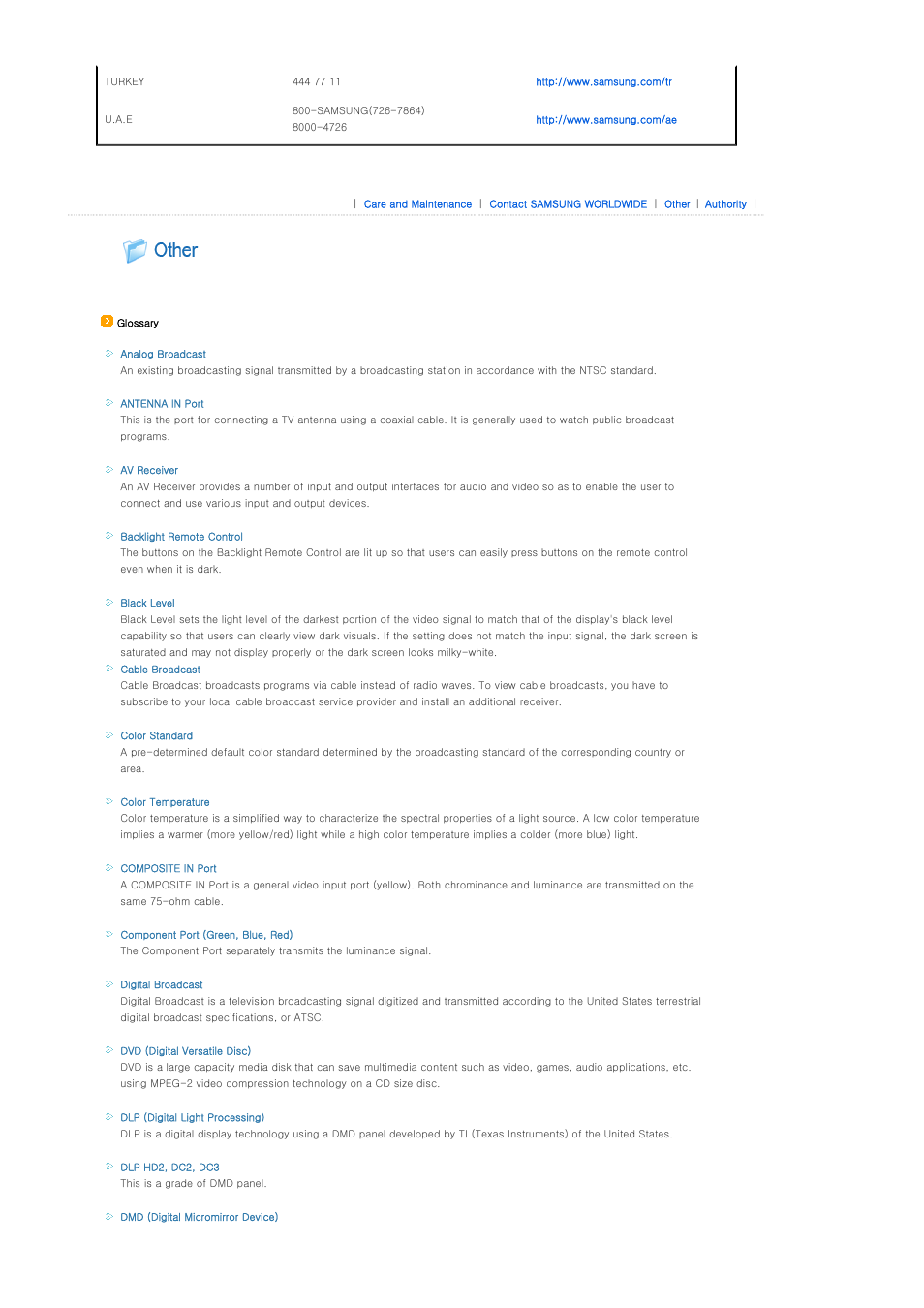 Other | Samsung SP-A900B User Manual | Page 40 / 41