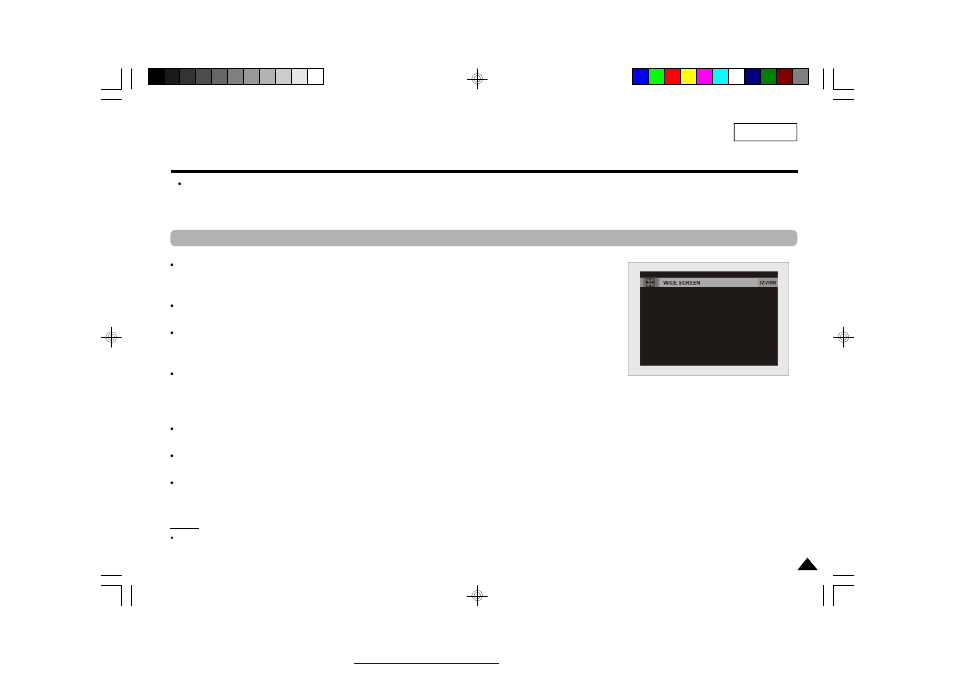 Adjusting the aspect ratio(ez view) | Samsung DVD-L75/L70 User Manual | Page 31 / 60