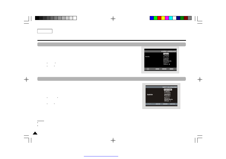 Setting up the audio options | Samsung DVD-L75/L70 User Manual | Page 44 / 60